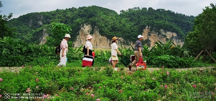 视频号如何搬运挣钱，轻松月入过万的秘密